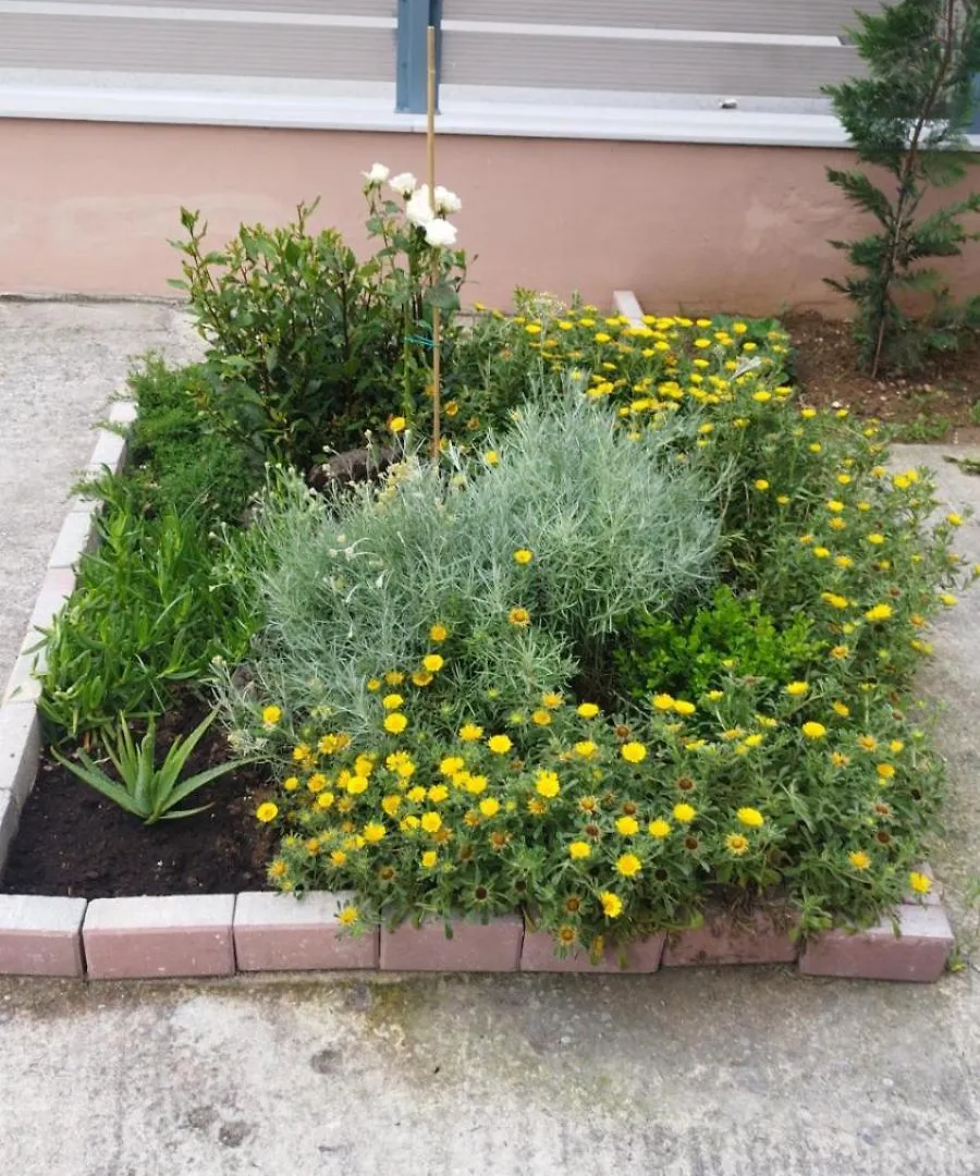 Renovated Apartment With Garden And Parking Space Peraía Grecia